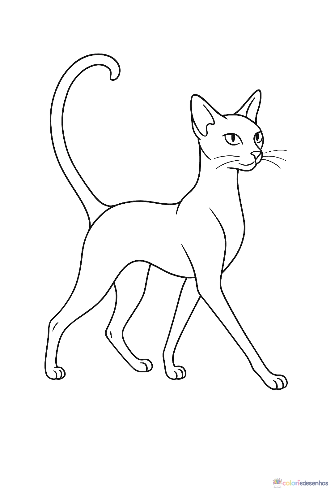 Gato para colorir