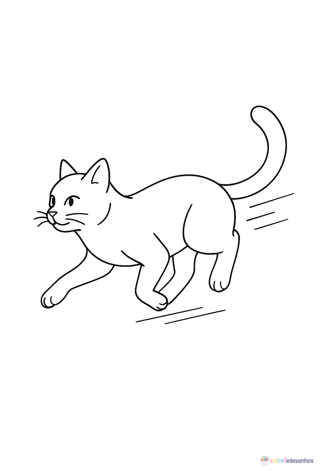 Gato para colorir