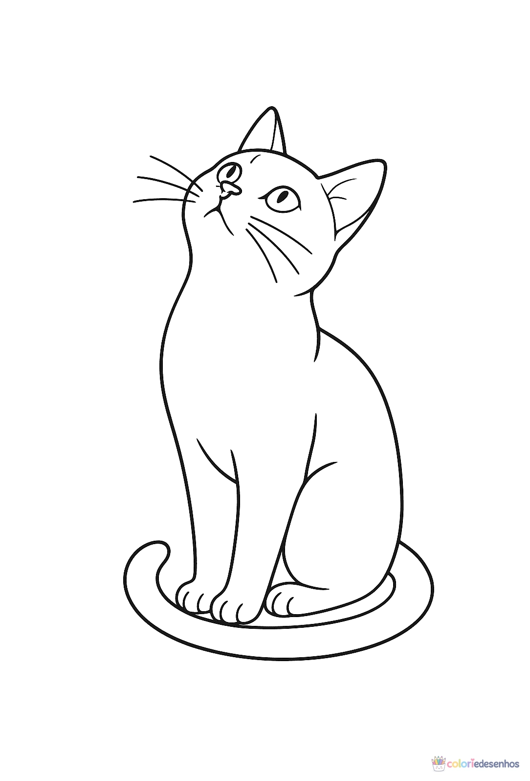 Gato para colorir