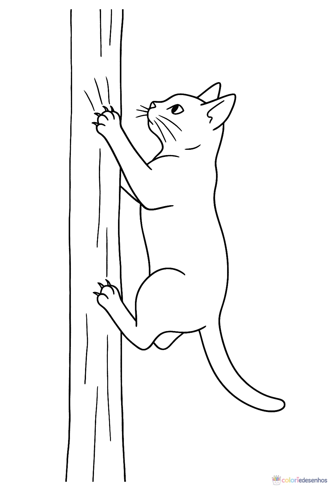 Gato para colorir