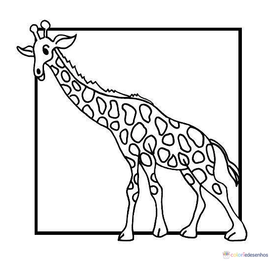 Girafas para colorir