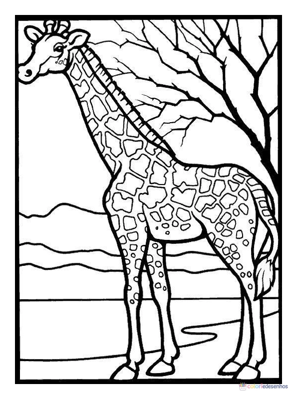 Girafas para colorir