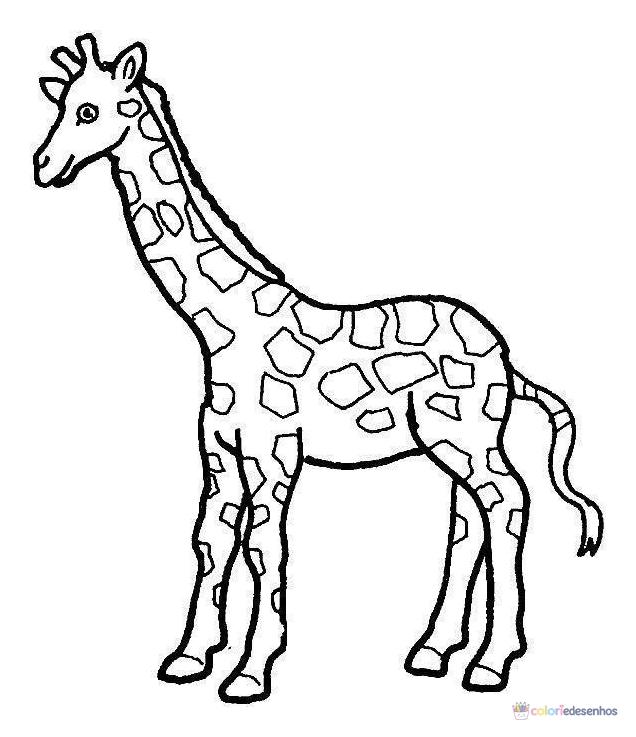 Girafas para colorir