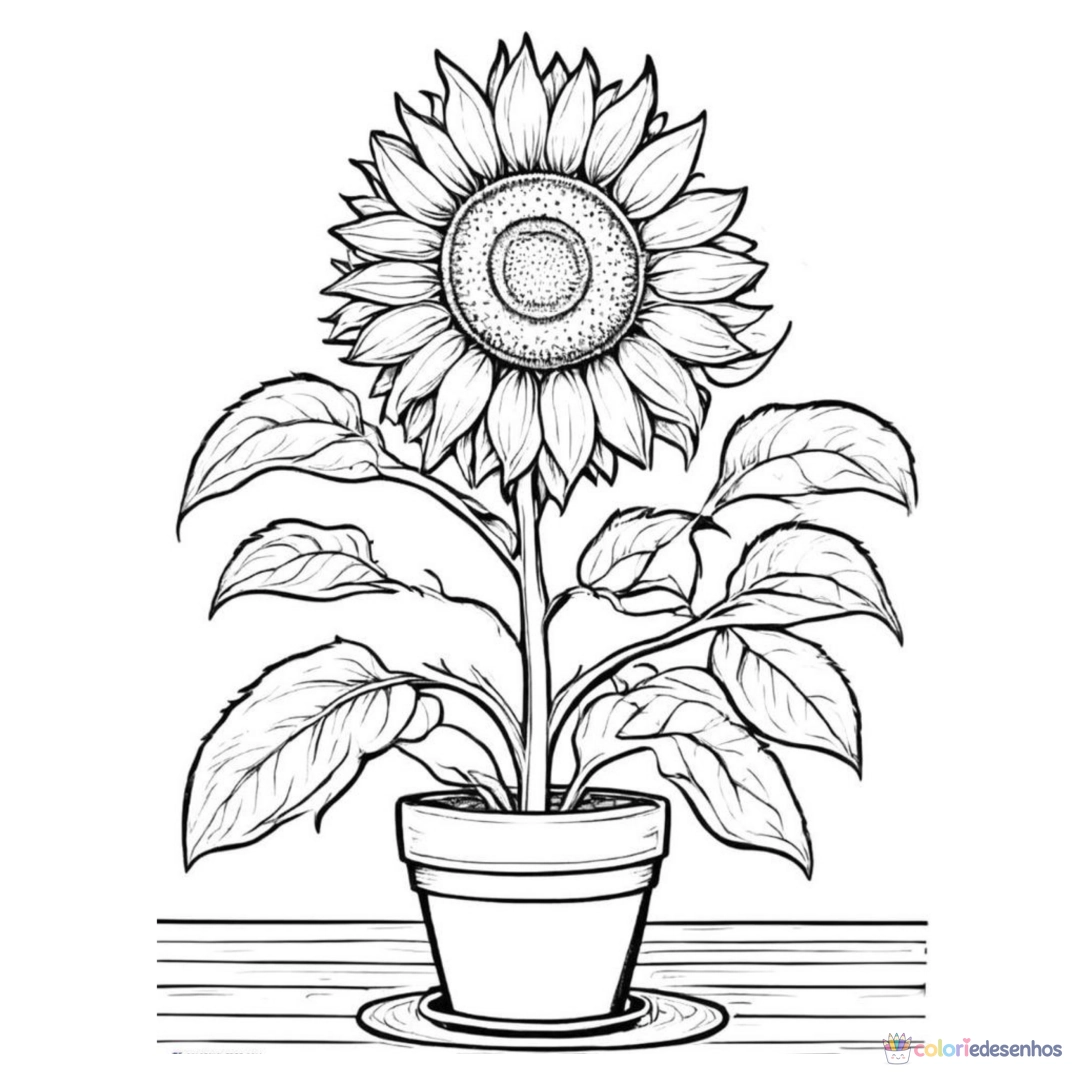 Girassol para imprimir e colorir para colorir