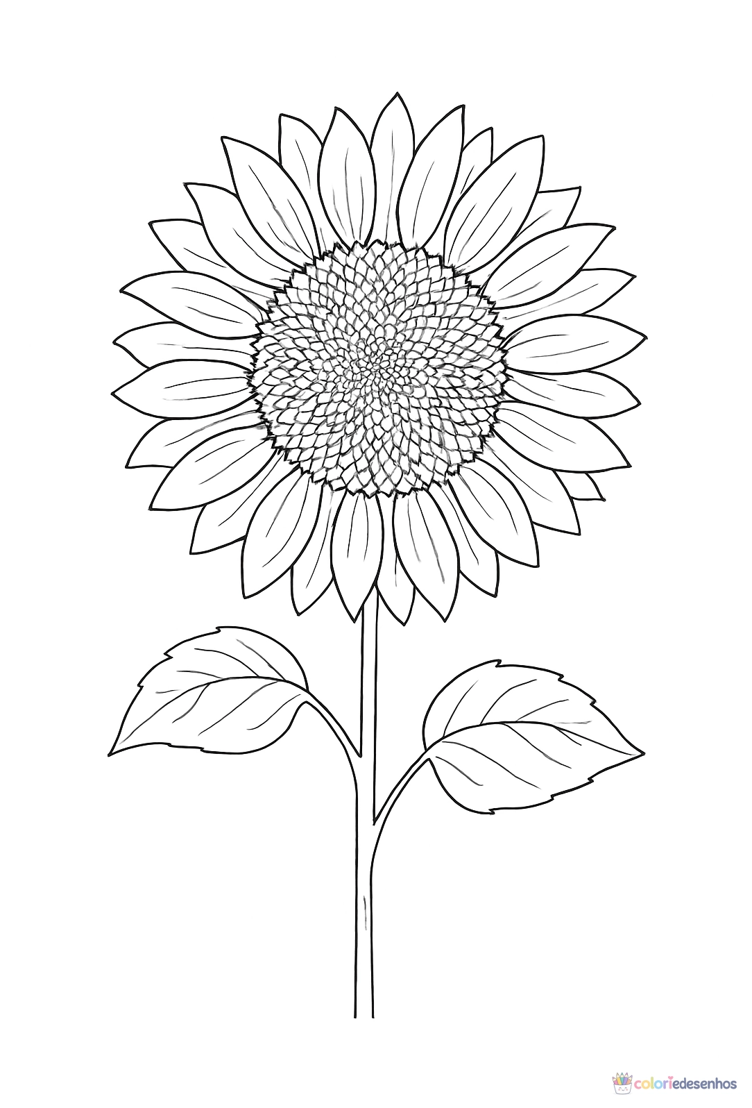 Girassol para imprimir e colorir para colorir