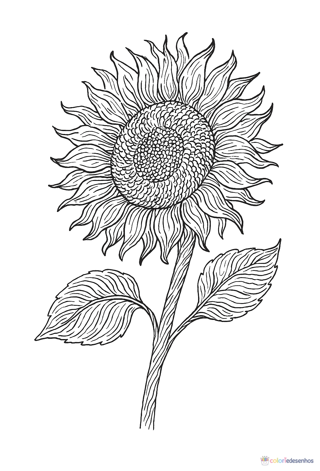 Girassol para imprimir e colorir para colorir
