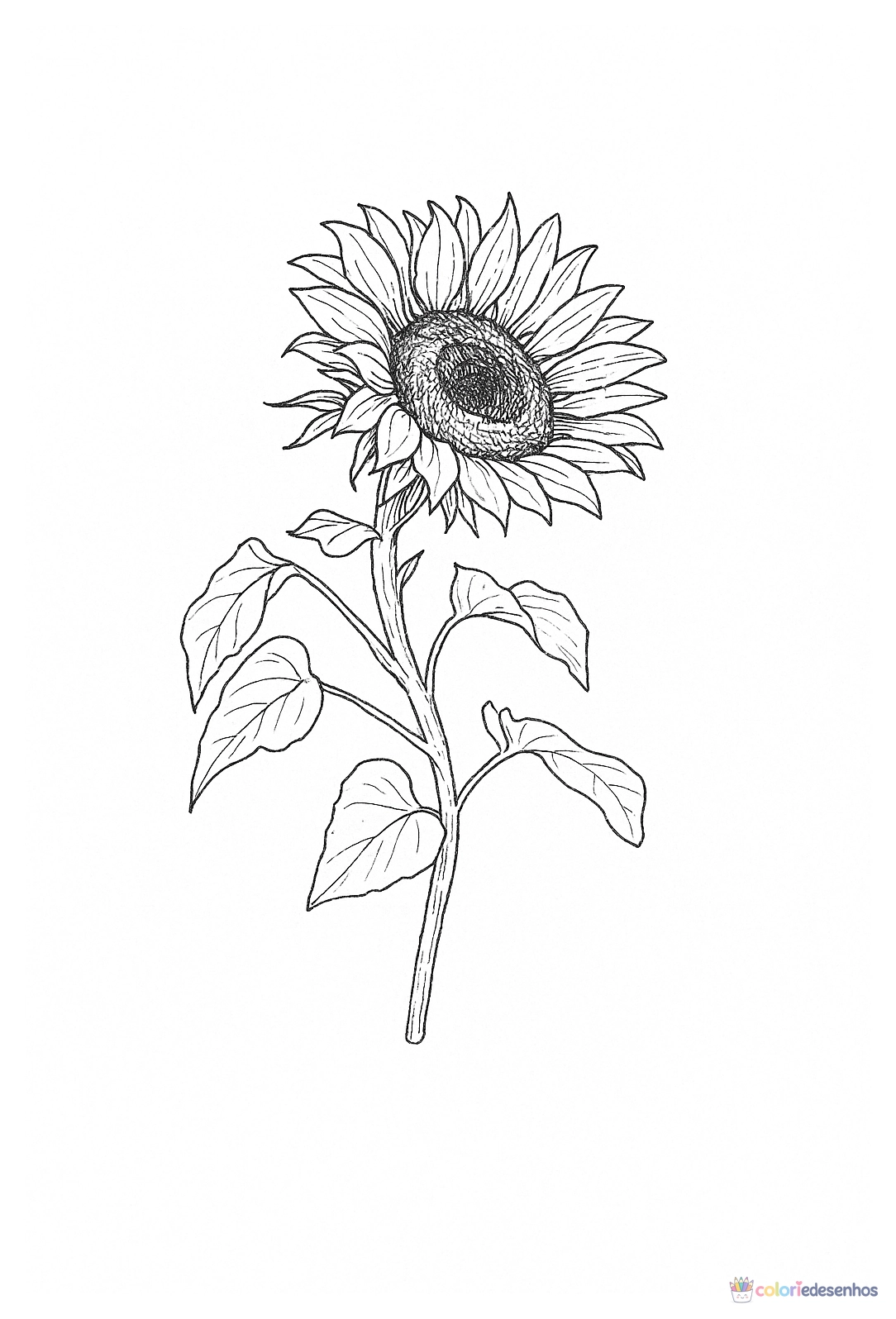 Girassol para imprimir e colorir para colorir