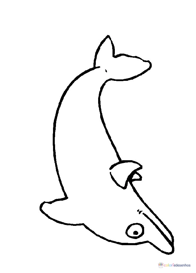 Golfinhos para colorir