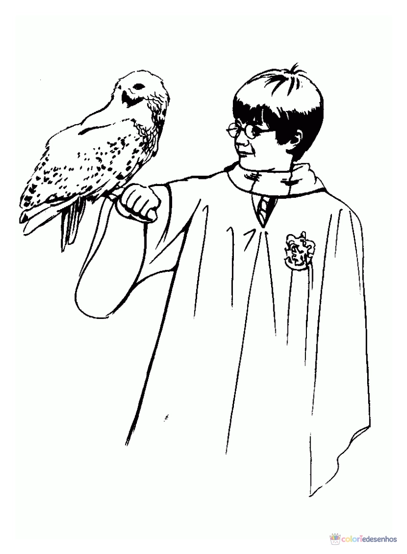 Herry Potter para colorir