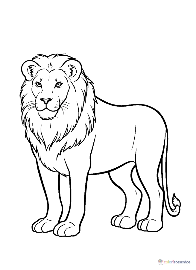 Leão para colorir