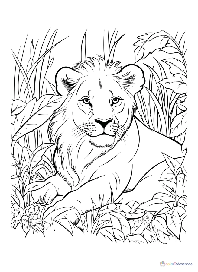 Leão para colorir