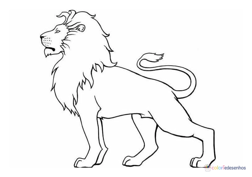 Desenhos de Leões para colorir
