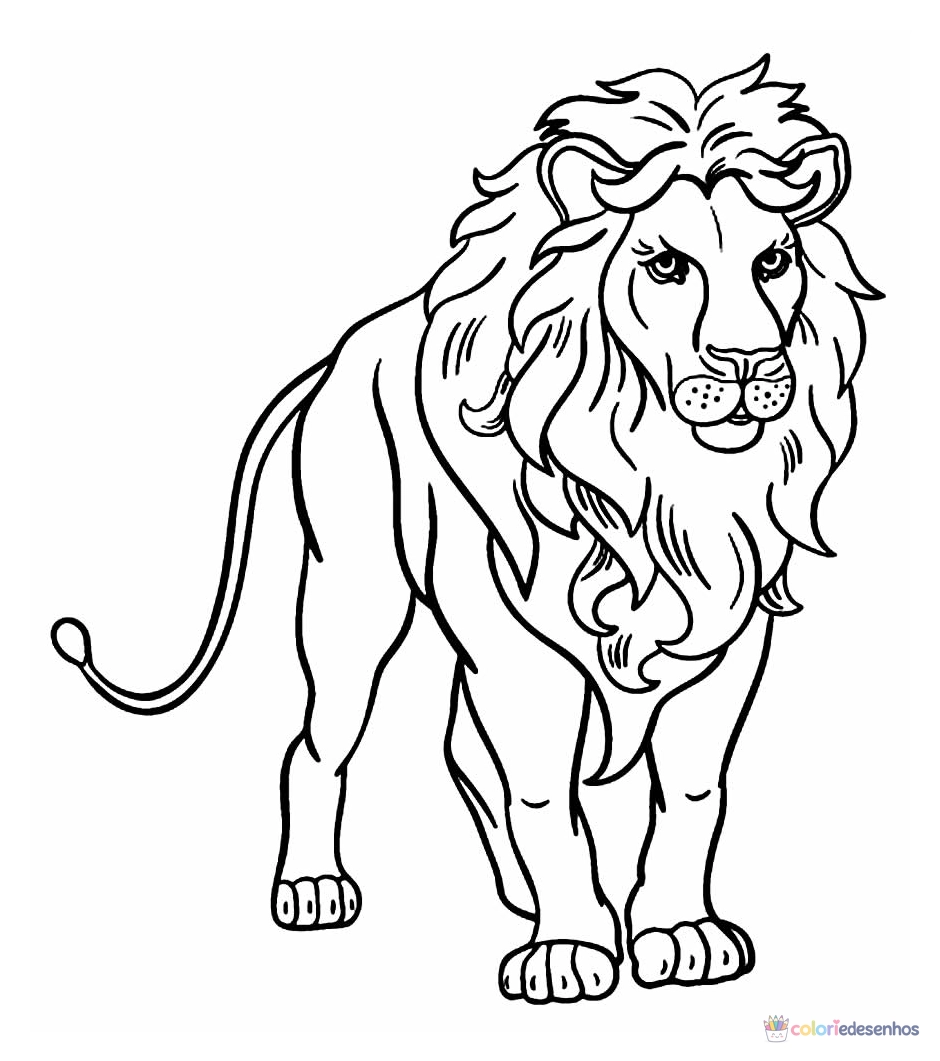 Leão para colorir