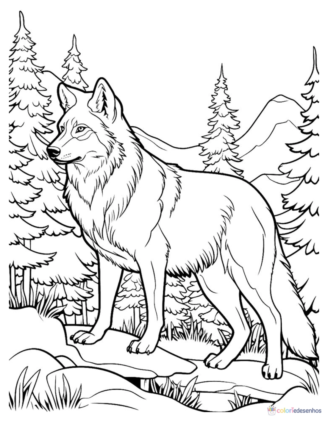 Lobo para colorir