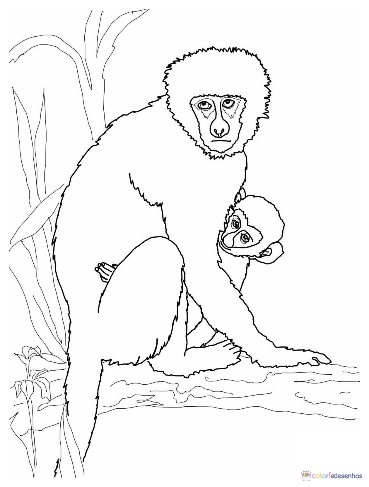 Macacos para colorir