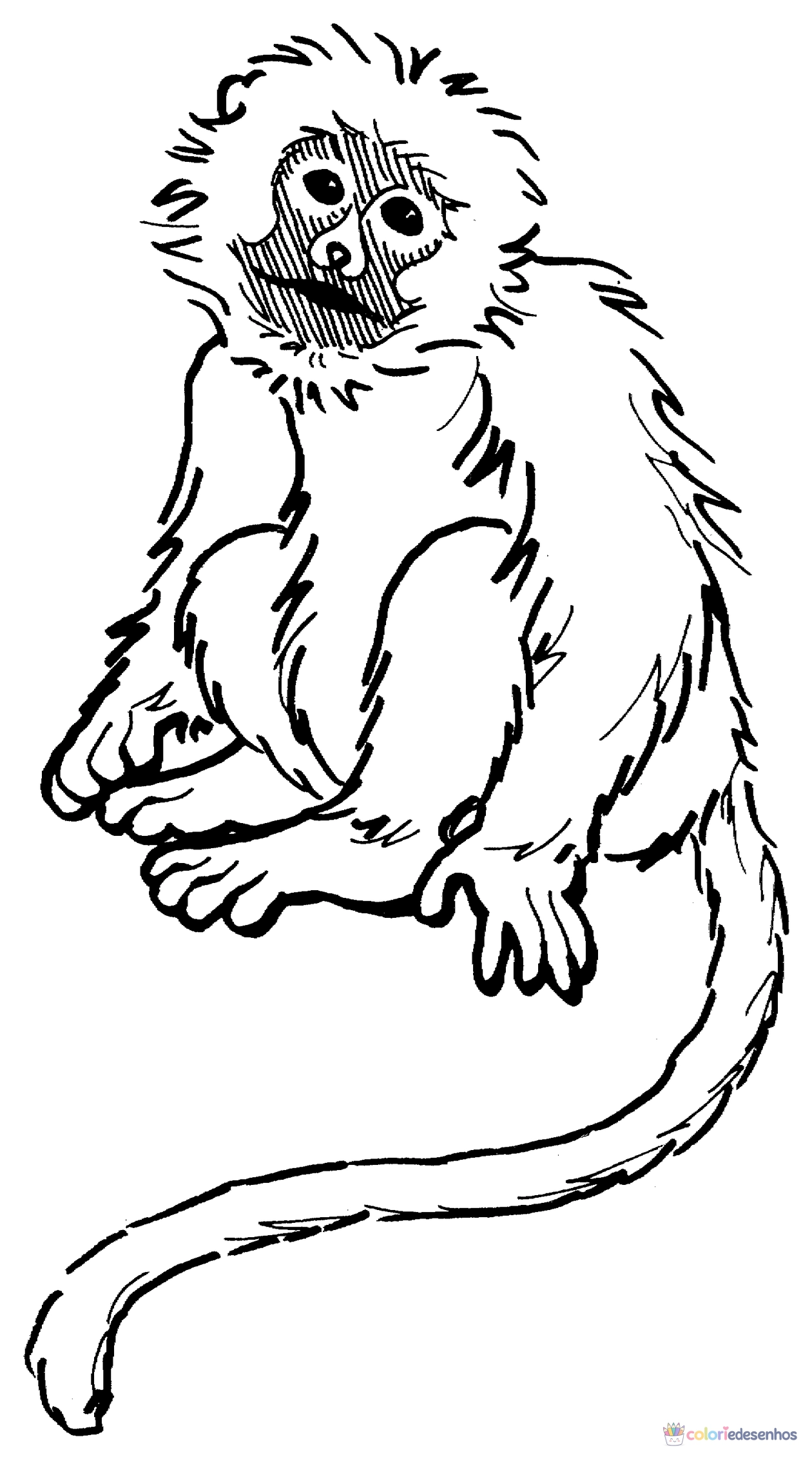 Macacos para colorir