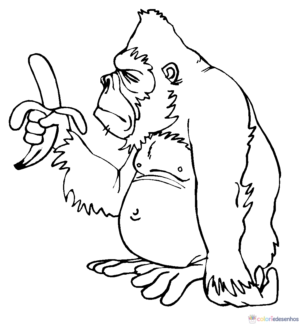 Macacos para colorir