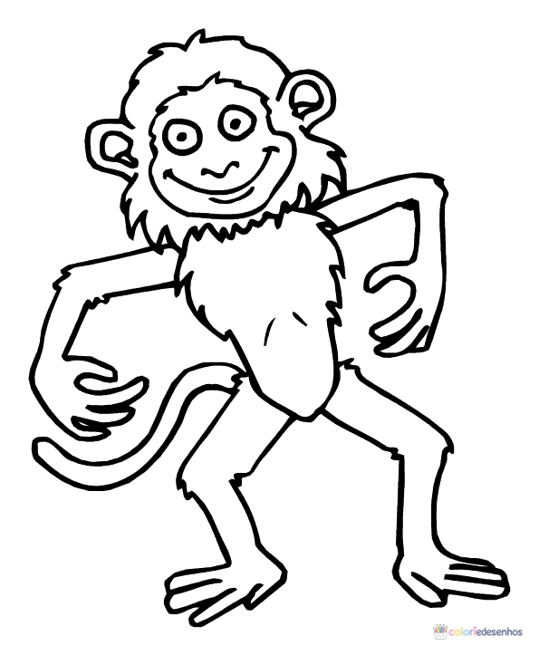 Macacos para colorir