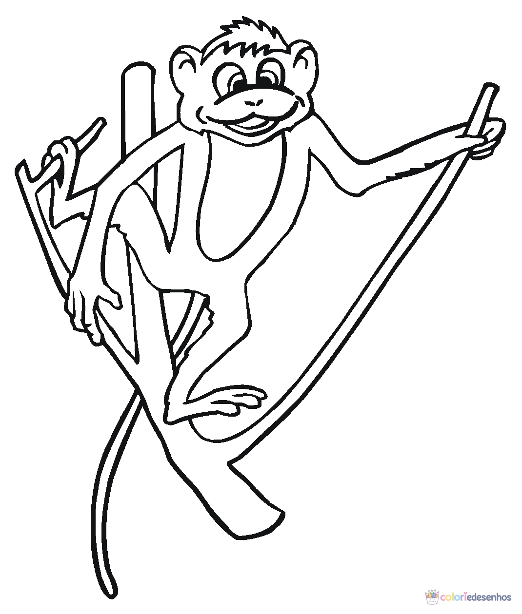 Macacos para colorir