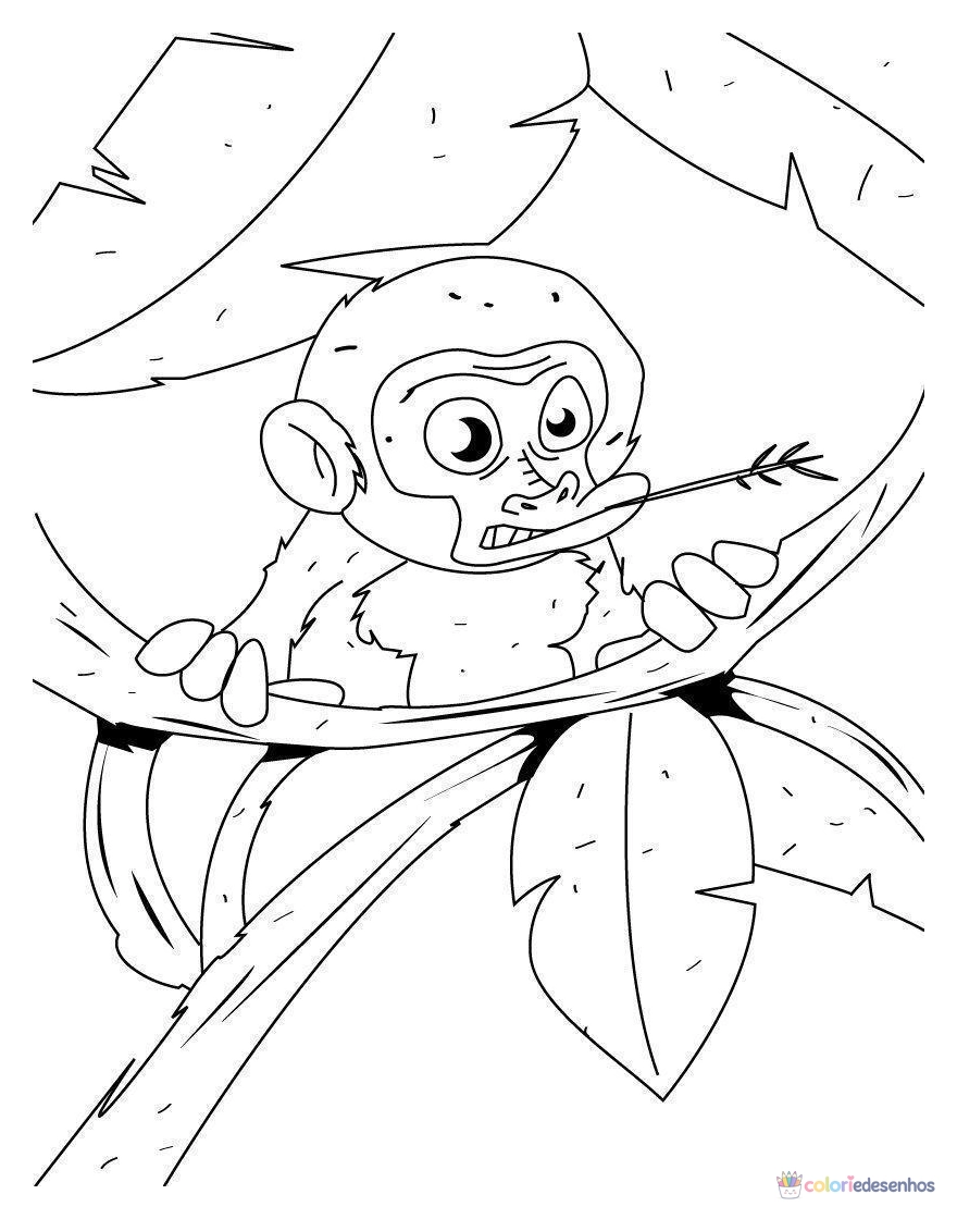 Macacos para colorir