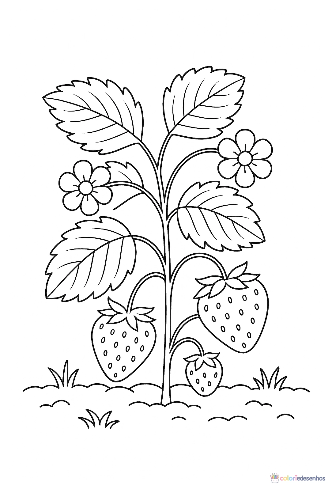 Morango para colorir