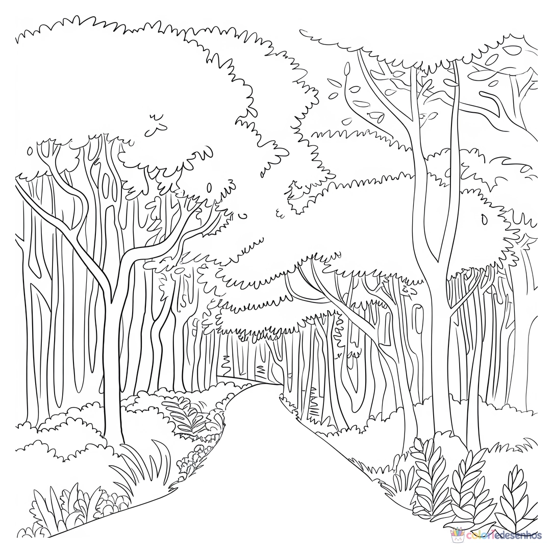Natureza para colorir