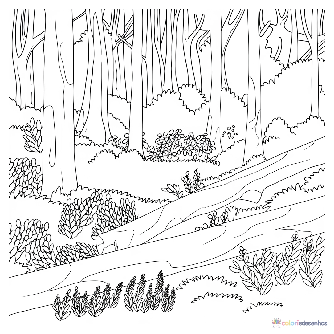 Natureza para colorir
