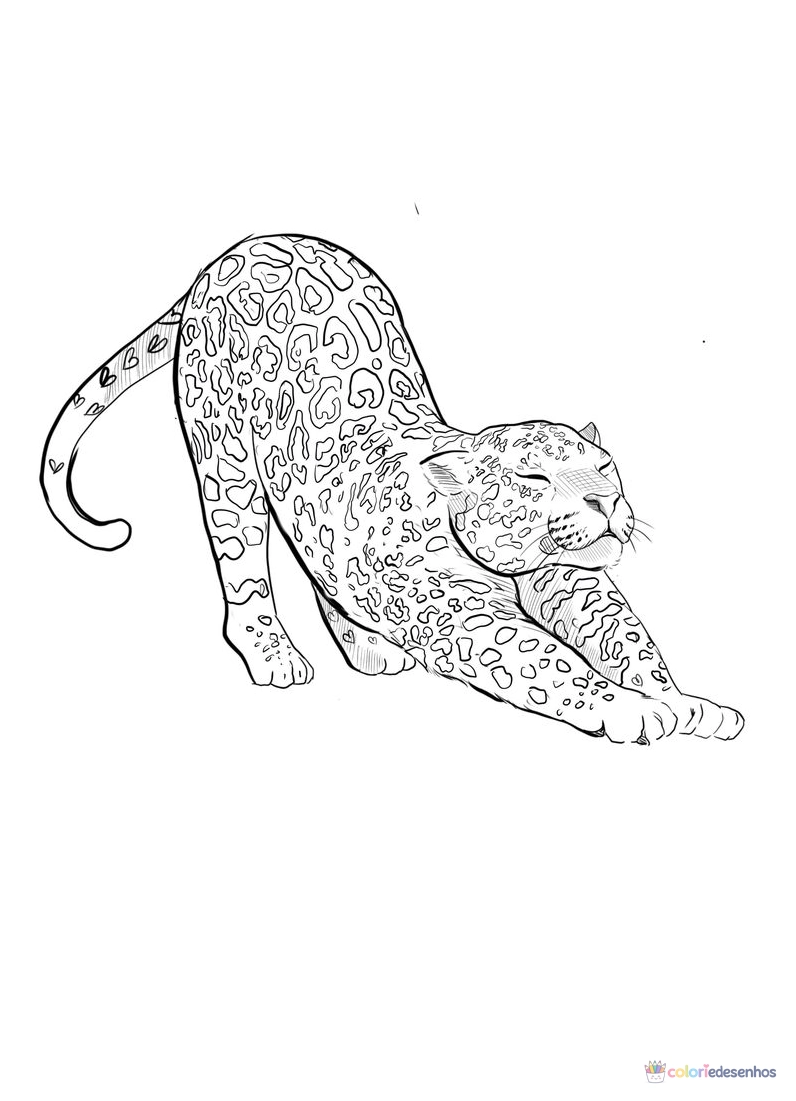 Onça para colorir