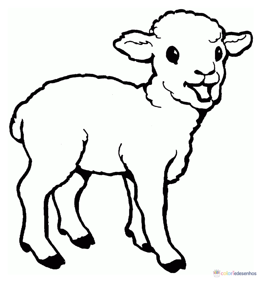 Desenhos de Ovelha para colorir