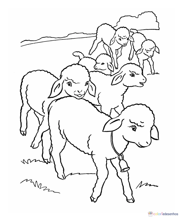 Ovelha para colorir