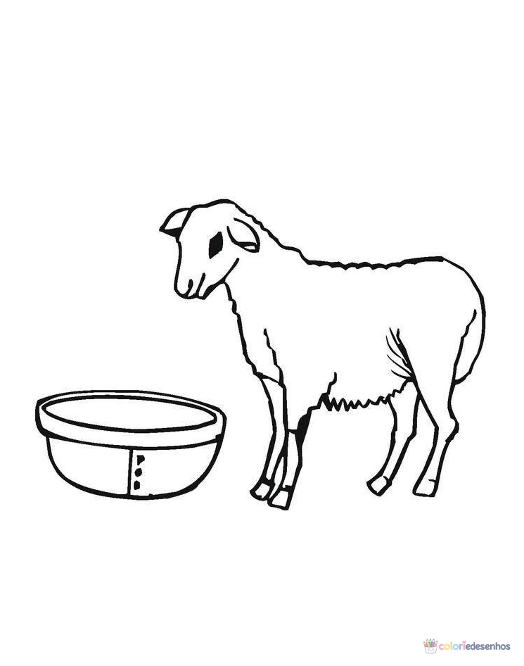 Ovelha para colorir