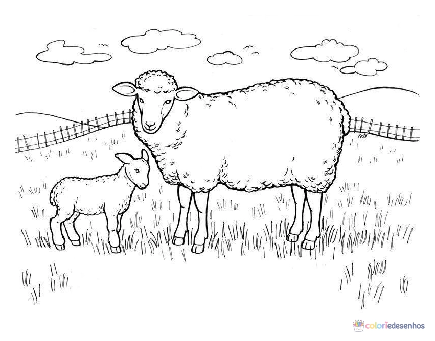 Ovelha para colorir