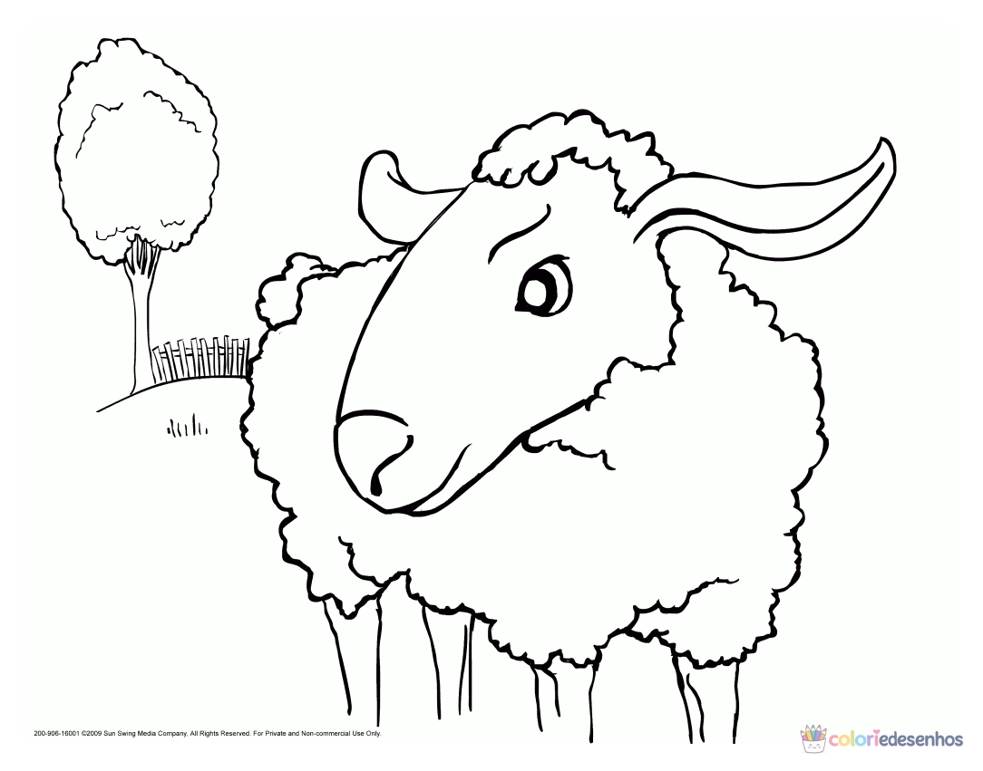 Ovelha para colorir