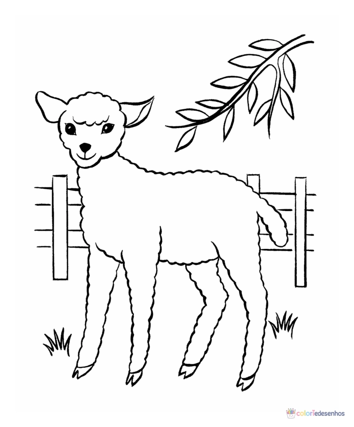 Ovelha para colorir