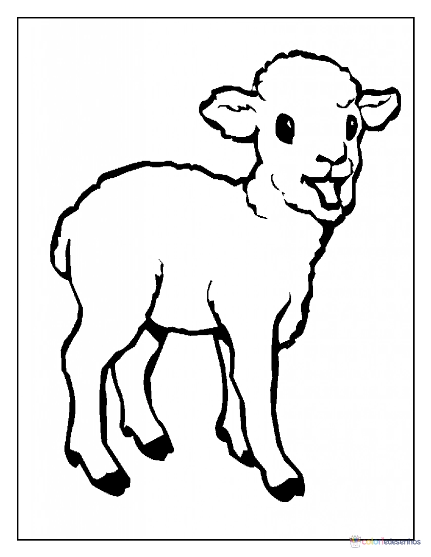 Ovelha para colorir