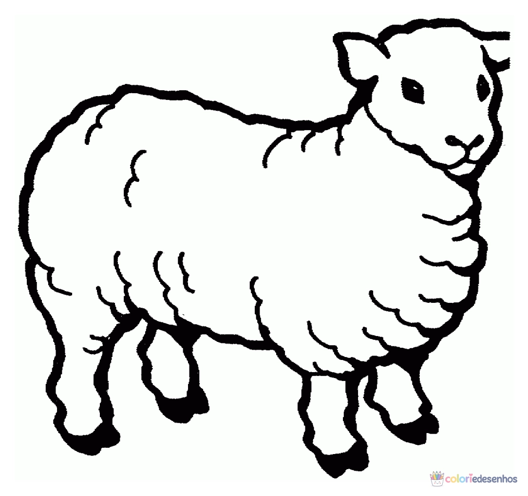 Ovelha para colorir