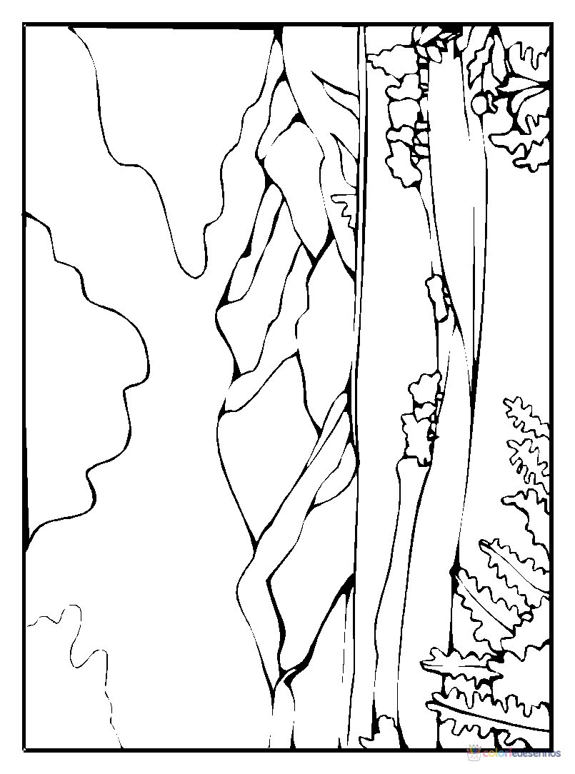 Paisagens para colorir