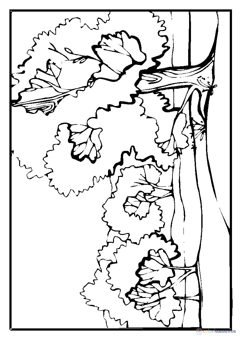 Paisagens para colorir