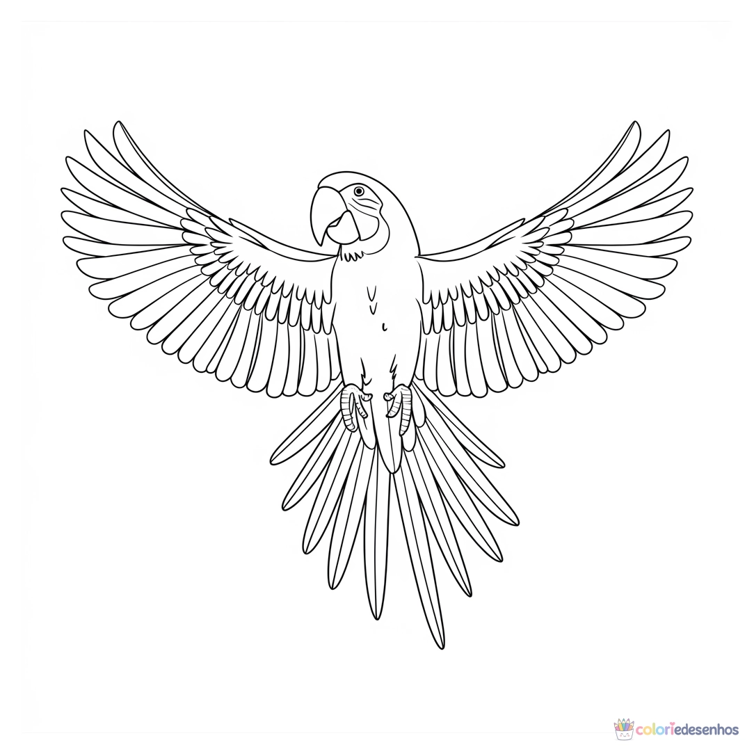 Desenhos de Papagaio para colorir