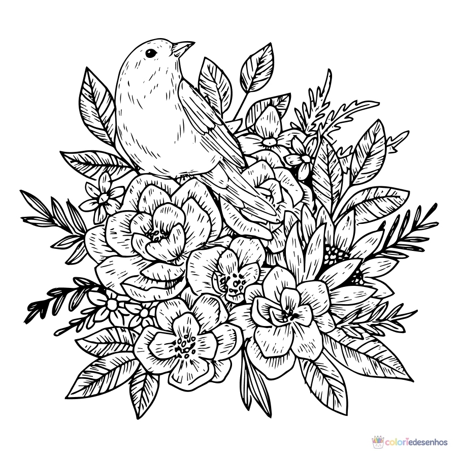 Passaro para colorir