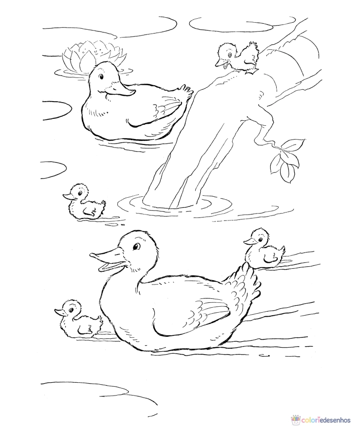 Patinhos para colorir