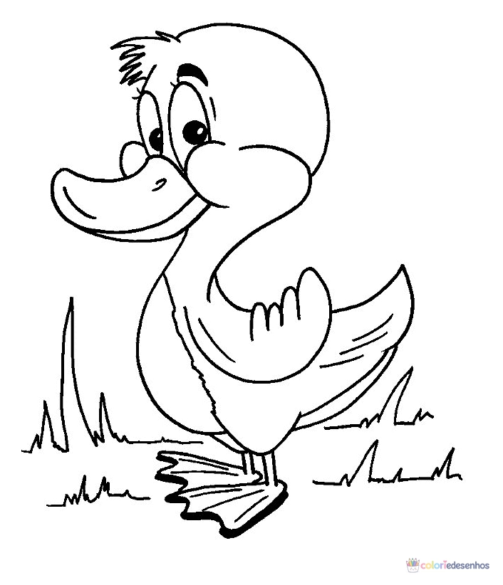 Patinhos para colorir