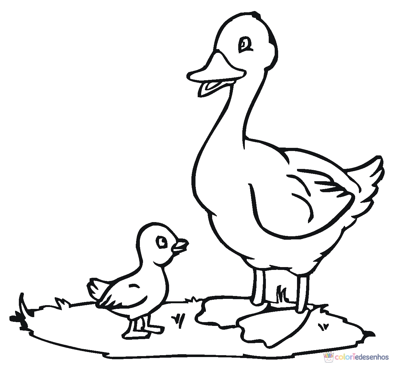 Patinhos para colorir