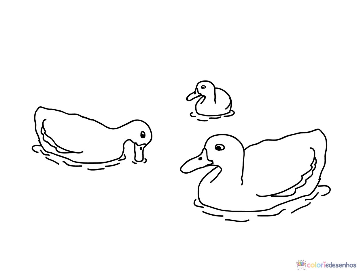Patinhos para colorir