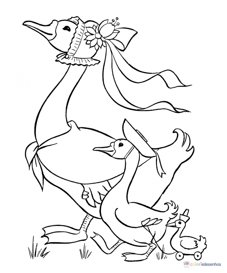 Patinhos para colorir