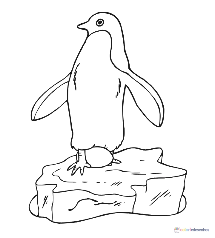 Pinguins para colorir