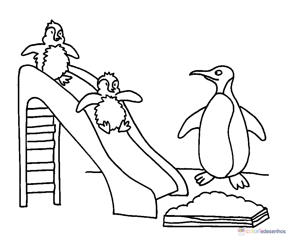 Pinguins para colorir