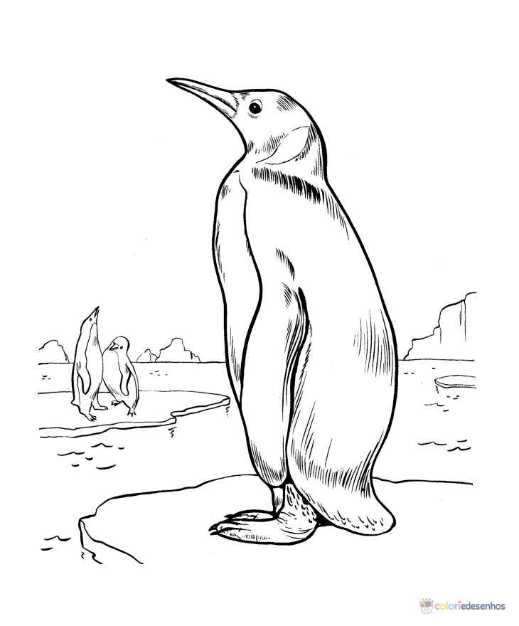 Pinguins para colorir