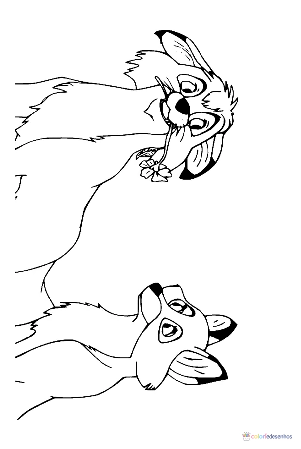 Raposa para colorir