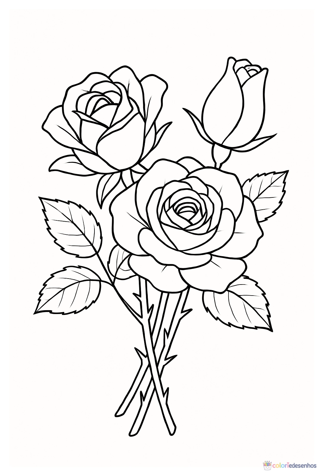 Rosa para colorir